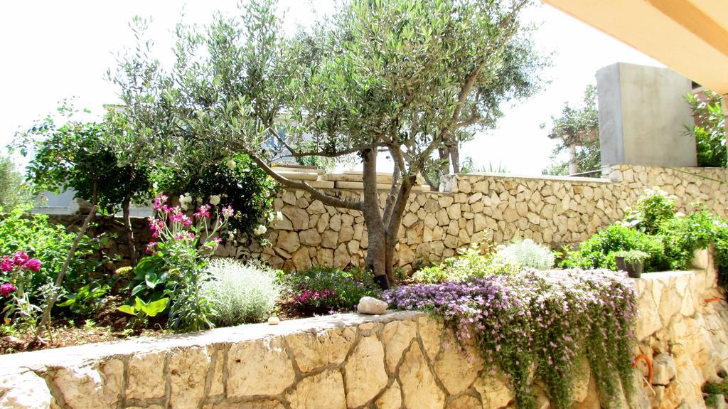 Apartments Villa Nevenka روغوزنيكا المظهر الخارجي الصورة
